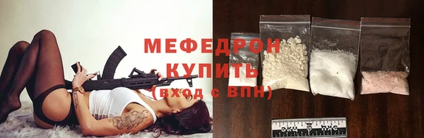 сатива Беломорск