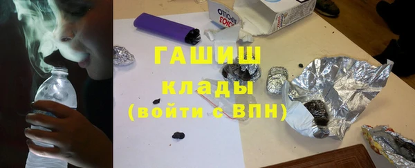 сатива Беломорск