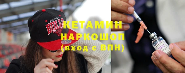 сатива Беломорск
