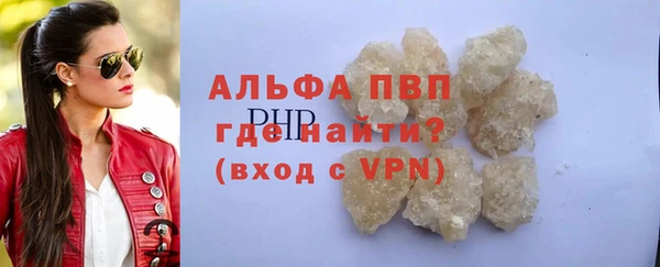 сатива Беломорск