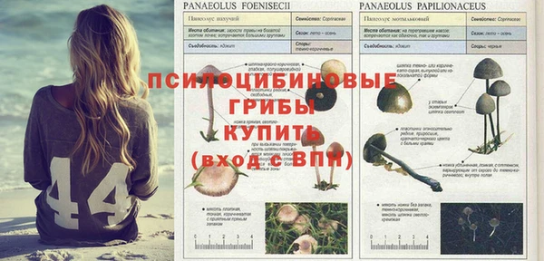 a pvp Наволоки