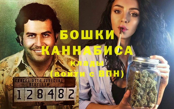 сатива Беломорск